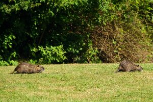 Bild Spiel und Ambiente 2024 - 03