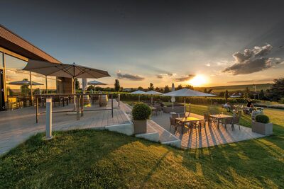 Weingut Martinspforte